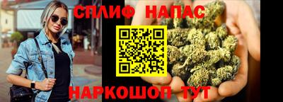 индика Гусиноозёрск