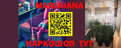 индика Гусиноозёрск