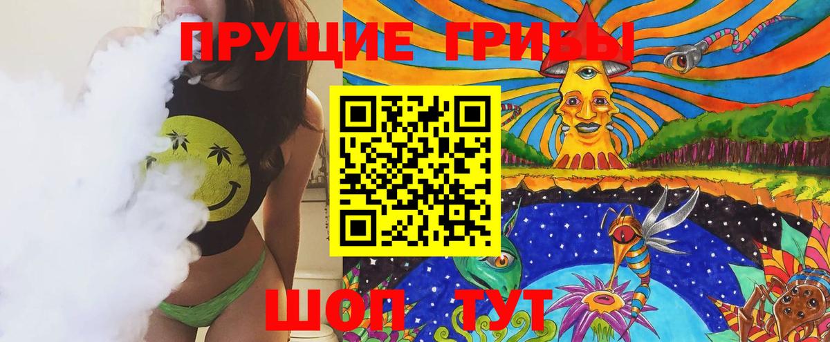 Псилоцибиновые грибы Cubensis Мелеуз