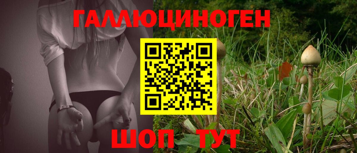 Мелеуз  Псилоцибиновые грибы Cubensis  Вход с VPN 